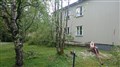 DSC_0098.JPG