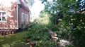 DSC_0264.JPG