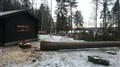 DSC_0508.JPG