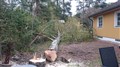 DSC_0813.JPG