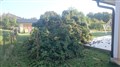 DSC_1094.JPG