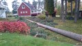 DSC_1249.JPG
